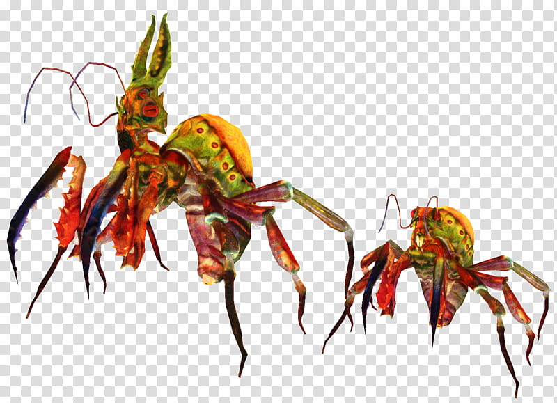 Plants, Insect, Decapods, Pollinator, Pest, Membrane, Crayfish transparent background PNG clipart