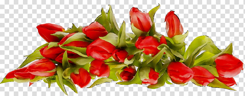 Bouquet Of Flowers, Holiday, Birthday
, Daytime, Victory Day, Yandex, Kharkiv, Russia Day transparent background PNG clipart