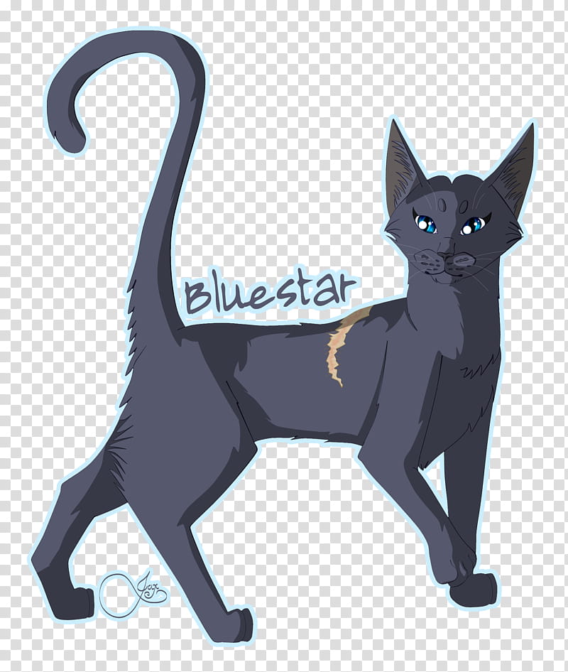 Cats, Black Cat, Korat, Warriors, Whiskers, Bluestar, Drawing, Feral transparent background PNG clipart