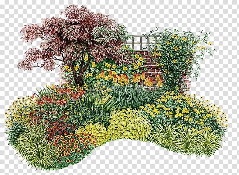 My Garden s, yellow flowers transparent background PNG clipart