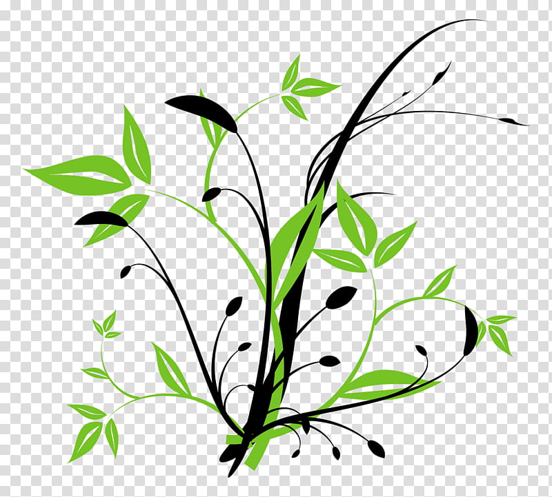 Black And White Flower, Shape, Iphone, Plant Stem, Leaf, Green, Flora, Branch transparent background PNG clipart