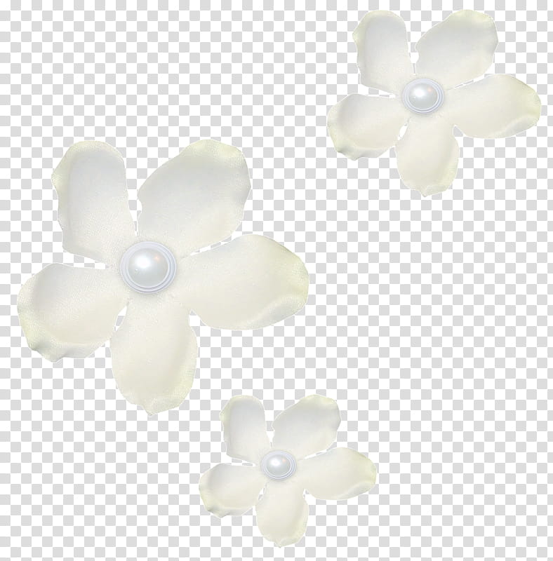 Frangipani Flower, Earring, Jewellery, Pearl, Bead, Body Jewellery, Petal, Biscuits transparent background PNG clipart