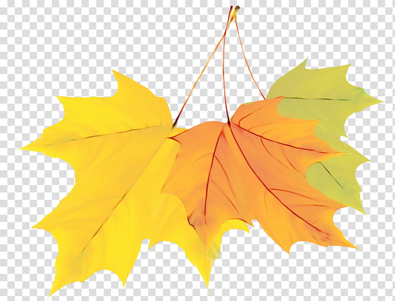 Autumn Leaves Watercolor, Paint, Wet Ink, Maple Leaf, Watercolor Painting, Autumn Leaf Color, Season, Tree transparent background PNG clipart