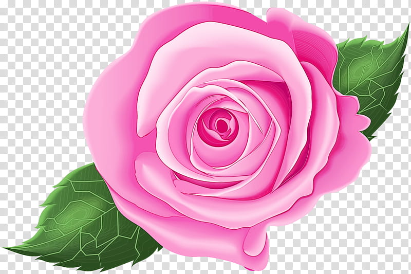 Blue Watercolor Flowers, Paint, Wet Ink, Garden Roses, Cabbage Rose, Floribunda, China Rose, Blue Rose transparent background PNG clipart