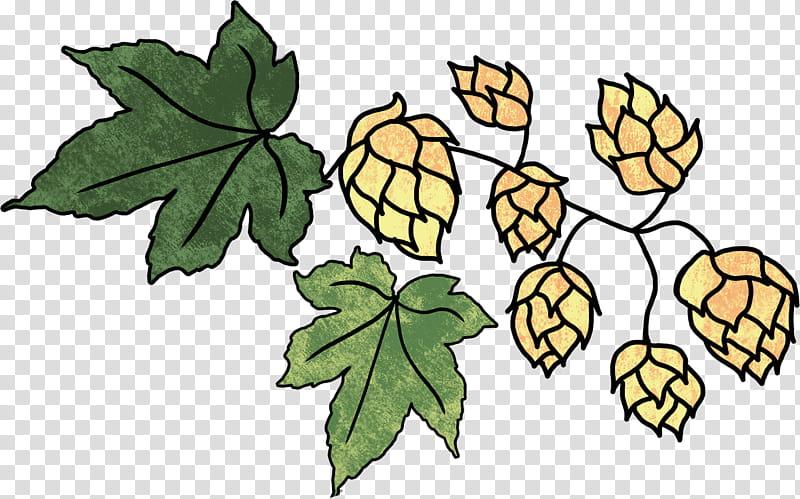 Fruit Tree, Beer, Hops, Brewing, Brewery, Bere Brewery, Tamar Valley Tasmania, Leaf transparent background PNG clipart