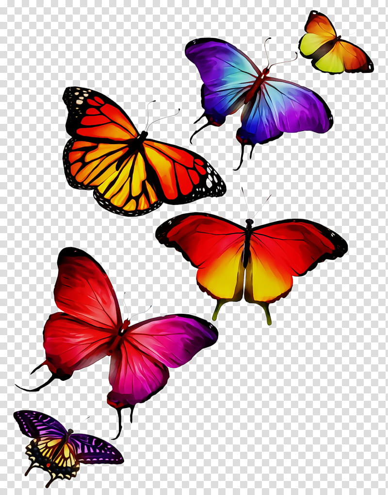 Monarch butterfly, Watercolor, Paint, Wet Ink, Moths And Butterflies, Insect, Pollinator, Brushfooted Butterfly transparent background PNG clipart