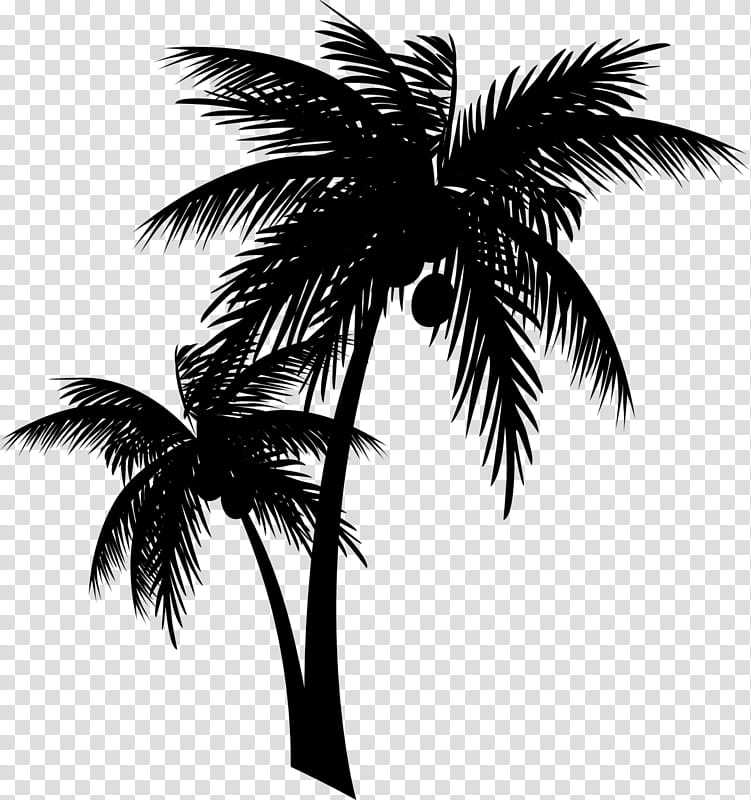 Coconut Tree, Asian Palmyra Palm, Kerala, Palm Trees, Tea, Babassu, Facebook, Date Palm transparent background PNG clipart