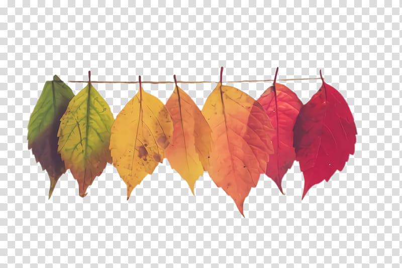 Autumn Tree, Organization, Walkme, Management, Author, Marketing, Change Management, Business transparent background PNG clipart