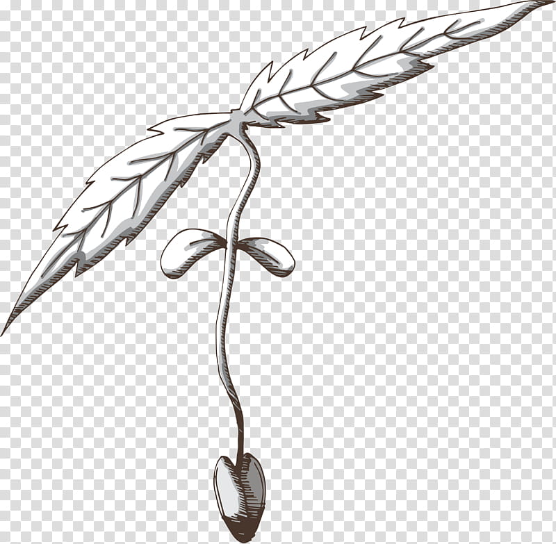 Feather, Leaf, Wing, Plant, Metal, Line Art, Drawing transparent background PNG clipart