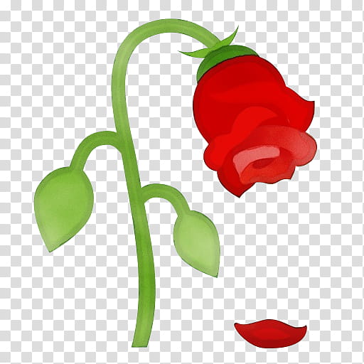 Flower With Stem, Emoji, Rose, Face With Tears Of Joy Emoji, Iphone, Meaning, Plant, Chili Pepper transparent background PNG clipart
