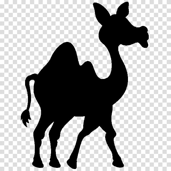 Llama, Camel, Silhouette, Animal, Camelid, Wildlife, Snout, Live transparent background PNG clipart