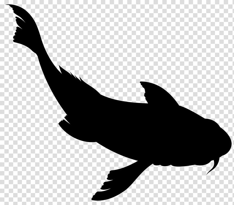 Shark Fin, Dolphin, Silhouette, Beak, Fish, Tail, Whale, Killer Whale transparent background PNG clipart