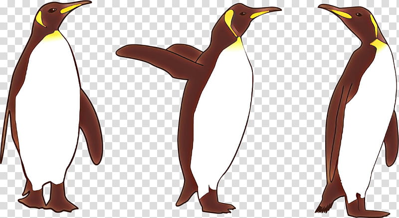 Penguin, Bird, Flightless Bird, Nepenthes, Plant, Beak, Animal Figure transparent background PNG clipart