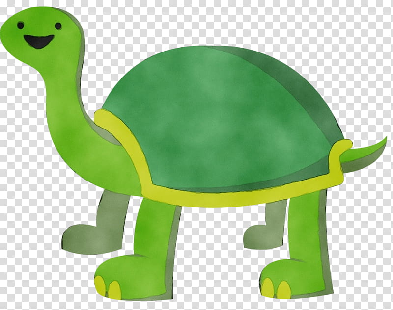 Animal, Tortoise M, Green, Turtle, Reptile, Animal Figure transparent background PNG clipart