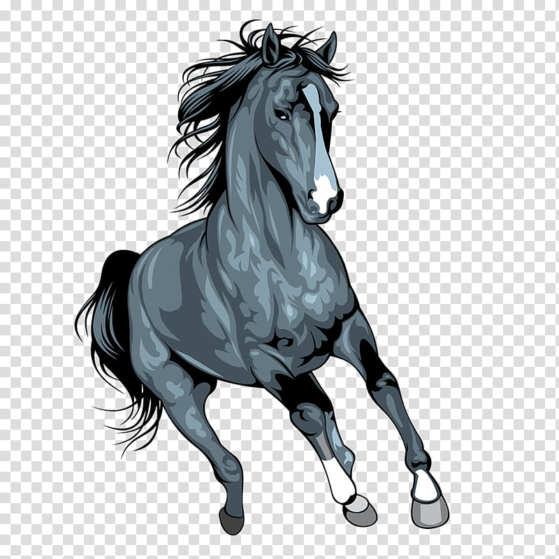 Painting, Mustang, Arabian Horse, Pony, Wild Horse, Drawing, White, Horses In Art transparent background PNG clipart