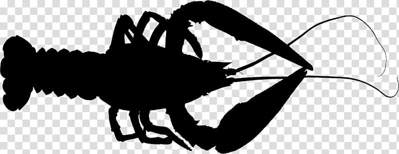 Shrimp, Silhouette, Pungency, Xuyi County, Black, Insect, Character, Black M transparent background PNG clipart