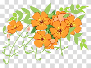 flower plant tagetes flowering plant, Watercolor, Paint, Wet Ink, Petal, Wildflower, Nasturtium transparent background PNG clipart thumbnail