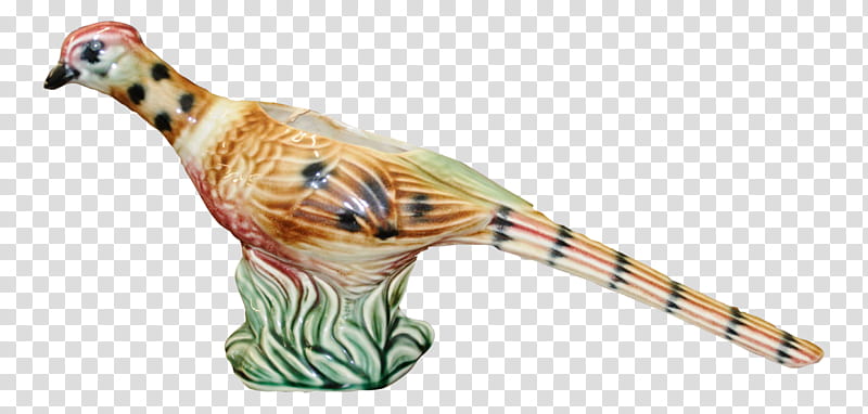 Beak Beak, Feather, Animal Figure transparent background PNG clipart