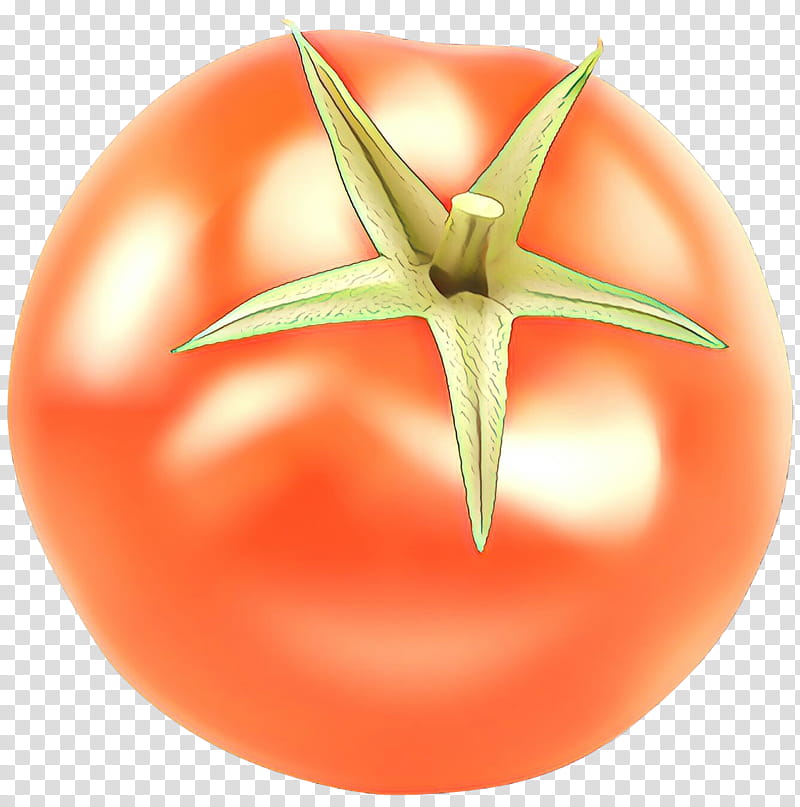 Tomato, Cartoon, Plum Tomato, Bush Tomato, Closeup, Solanum, Orange, Fruit transparent background PNG clipart