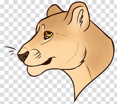 Lioness Headshot transparent background PNG clipart