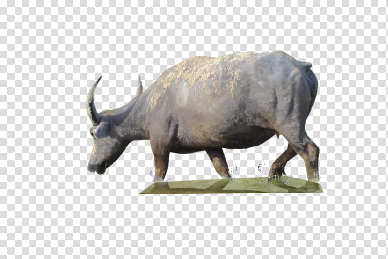 horn black rhinoceros animal figure rhinoceros wildlife, Statue, Bull, Cowgoat Family, Bovine, Figurine transparent background PNG clipart