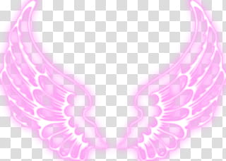 Alas de angel transparent background PNG clipart