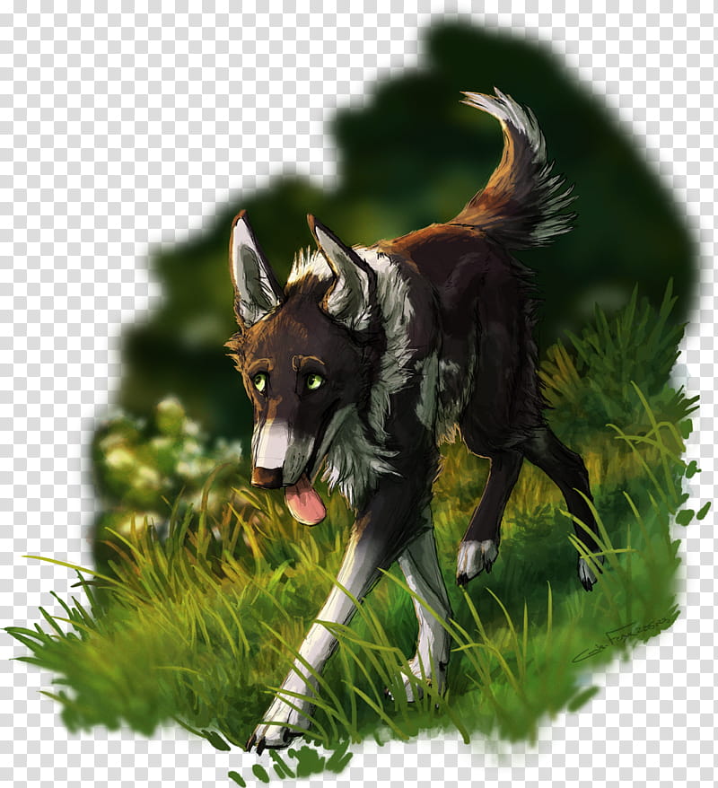 Birthday Animal, Wolf, Canis Ferox, Digital Art, Painting, Drawing, Birthday
, Happiness transparent background PNG clipart