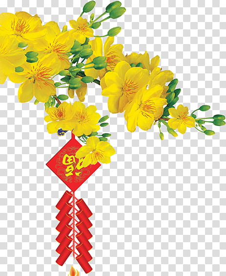 Lunar New Year, Ochna Integerrima, Golden Apricot Blossom Awards, Ho Chi Minh City, Flower, Cut Flowers, Yellow, Plant transparent background PNG clipart