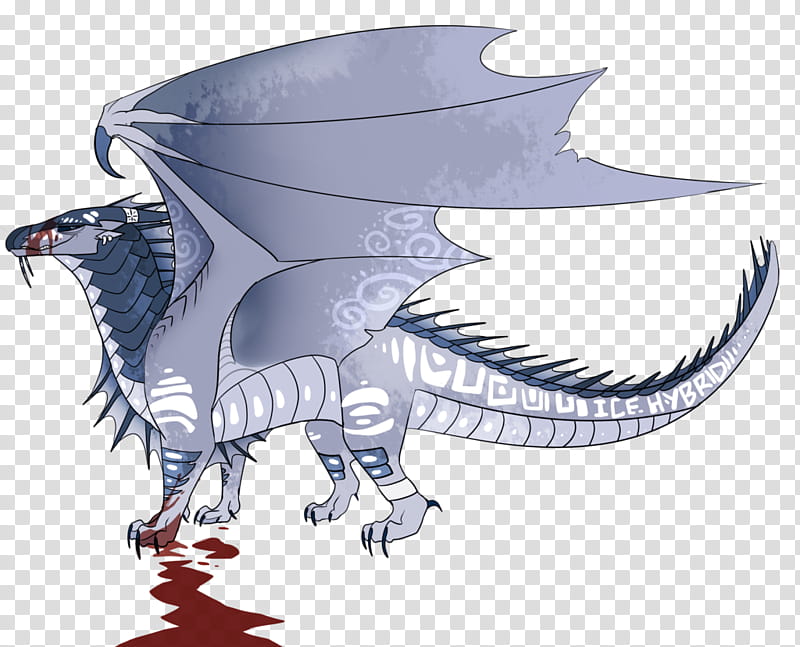 Wings Of Fire Dragons, Drawing, Darkness Of Dragons, Albatross, Fantasy, Video, Cartoon, Animation transparent background PNG clipart