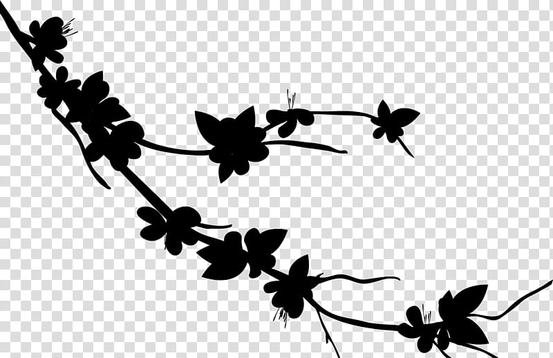 Flower Silhouette, Insect, Plant Stem, Leaf, Membrane, Sky, Plants, Branch transparent background PNG clipart