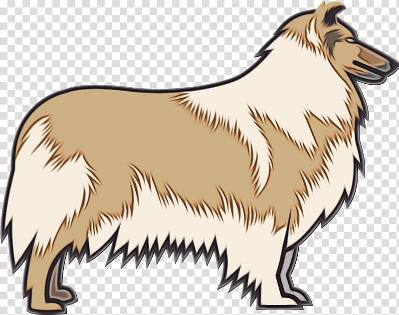 dog scotch collie collie rough collie dog breed, Watercolor, Paint, Wet Ink, Shetland Sheepdog transparent background PNG clipart