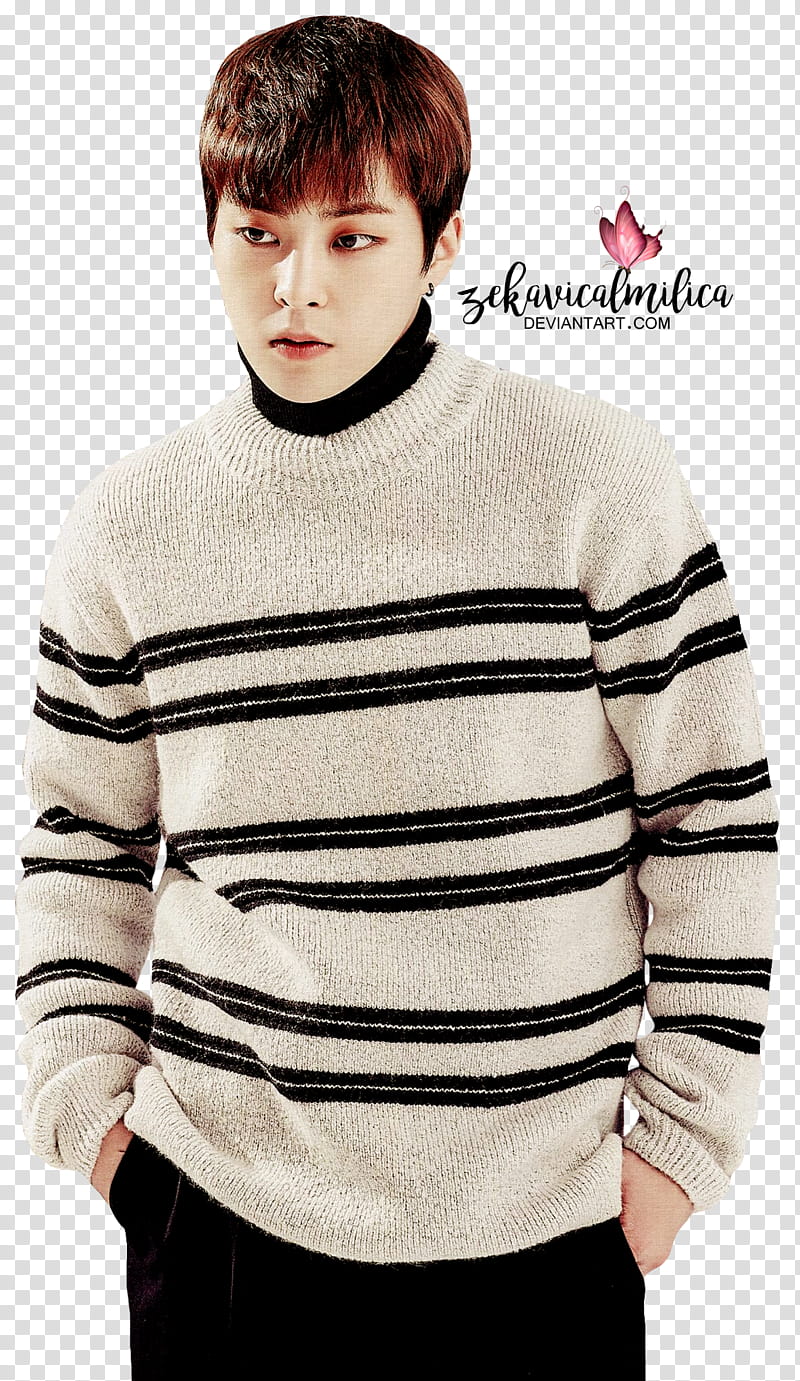 EXO Xiumin  Season Greetings transparent background PNG clipart