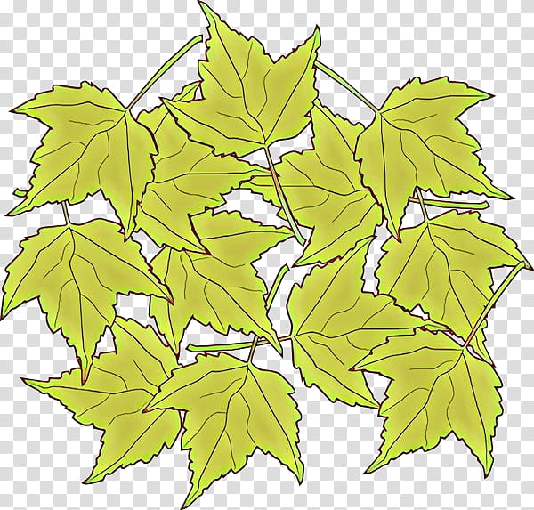 Maple leaf, Cartoon, Black Maple, Plant, Grape Leaves, Tree, Plane, Flower transparent background PNG clipart