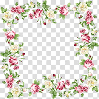 rosas transparent background PNG clipart