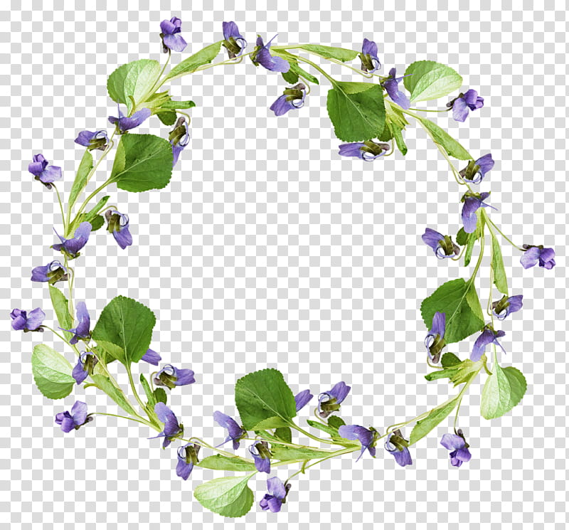 Purple Flower Wreath, Japanese Morning Glory, Drawing, Garland, Floral Design, Flower Bouquet, Ipomoea, Violet transparent background PNG clipart