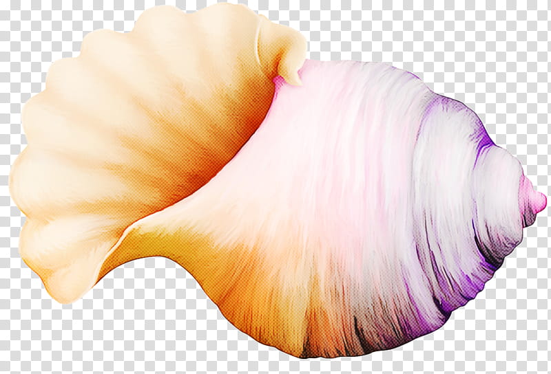 pink shankha conch transparent background PNG clipart