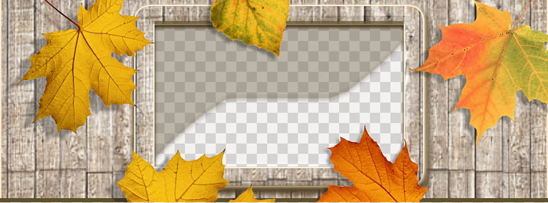 Autumn frame facebook cover transparent background PNG clipart
