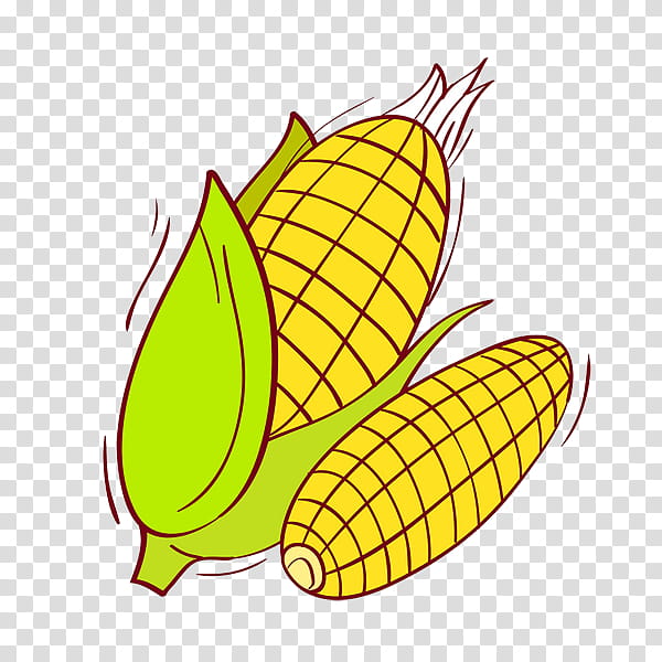 Leaf Drawing, Corn On The Cob, Sweet Corn, Corncob, White Corn, Cartoon, Yellow, Vegetarian Food transparent background PNG clipart