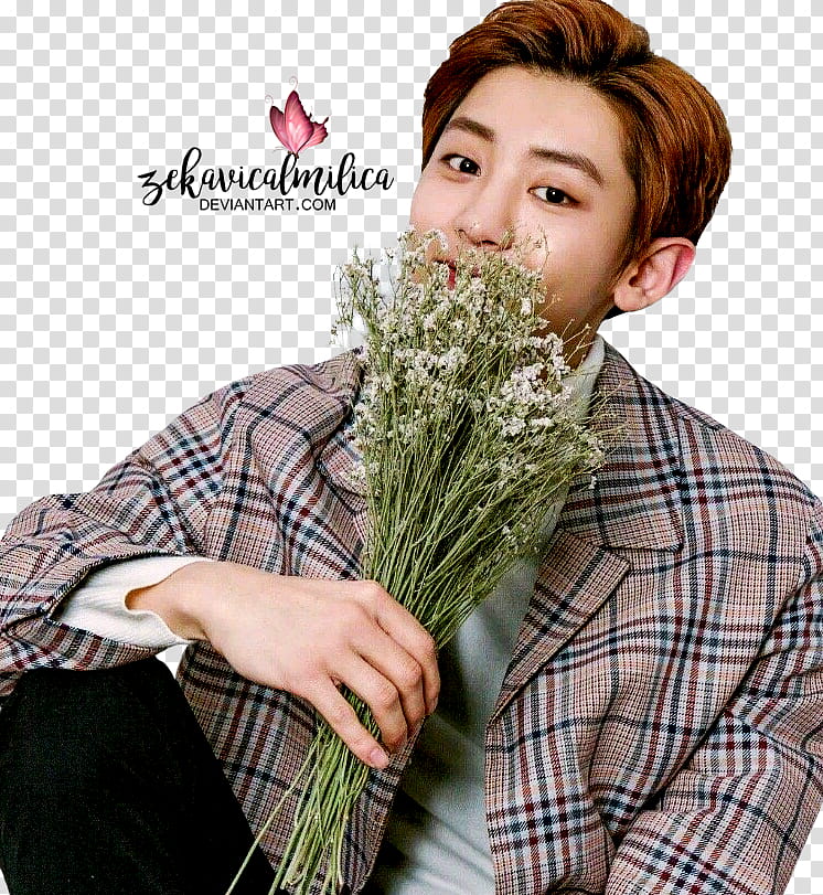 EXO Chanyeol Hanryu Pia, Park Chanyeol transparent background PNG clipart