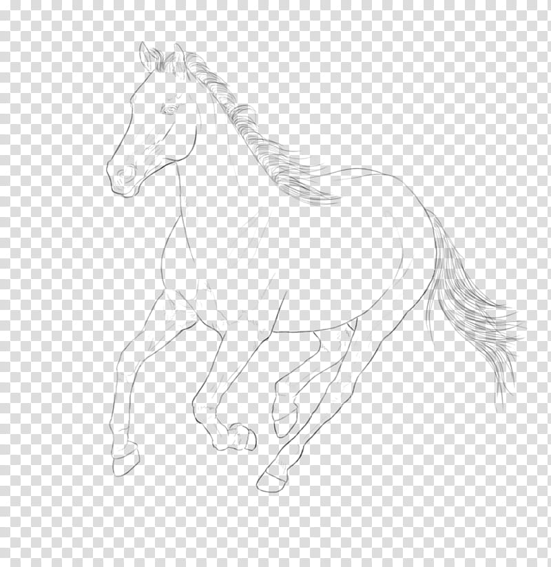 Canter horse, horse illustration transparent background PNG clipart