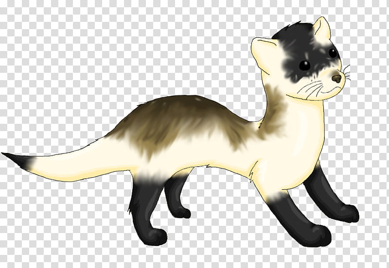 Wild Ferret transparent background PNG clipart