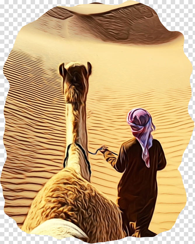 Arabia Horizons Tours Jbr Kiosk Camel, Waldorf Astoria, Video, Dubai, Hagar, Abraham, United Arab Emirates, Natural Environment transparent background PNG clipart