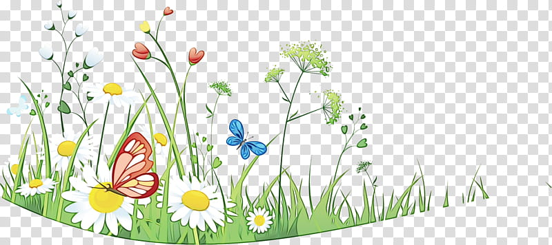 Spring, Flower, Blog, Grass, Meadow, Plant, Wildflower, Chamomile transparent background PNG clipart