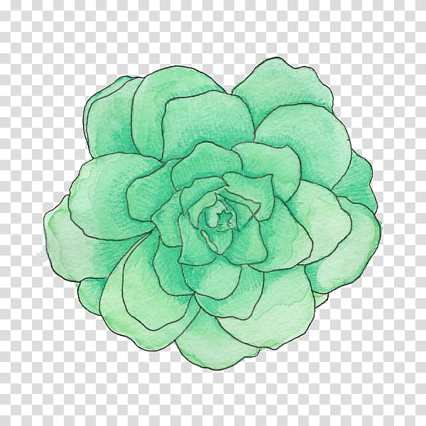 Green aesthetic, green rose illustration transparent background PNG clipart