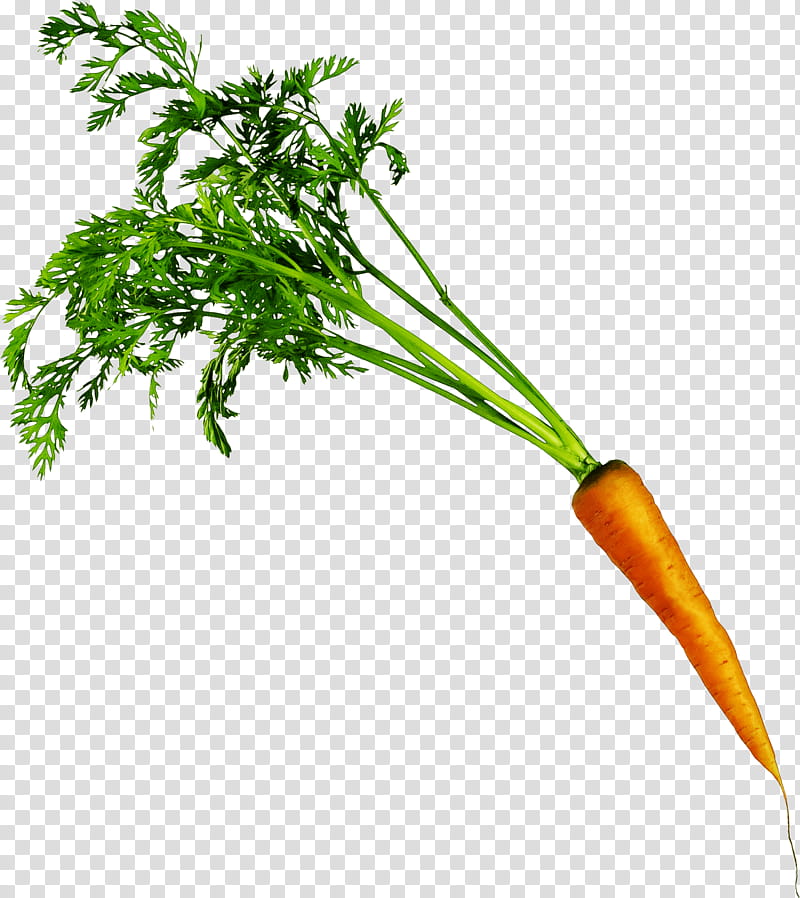 Carrot cake Vegetable Food Transparency, Juice, Carrot Soup, Carrot Juice, Greens, Radish, Vegetable Juice, Plant transparent background PNG clipart