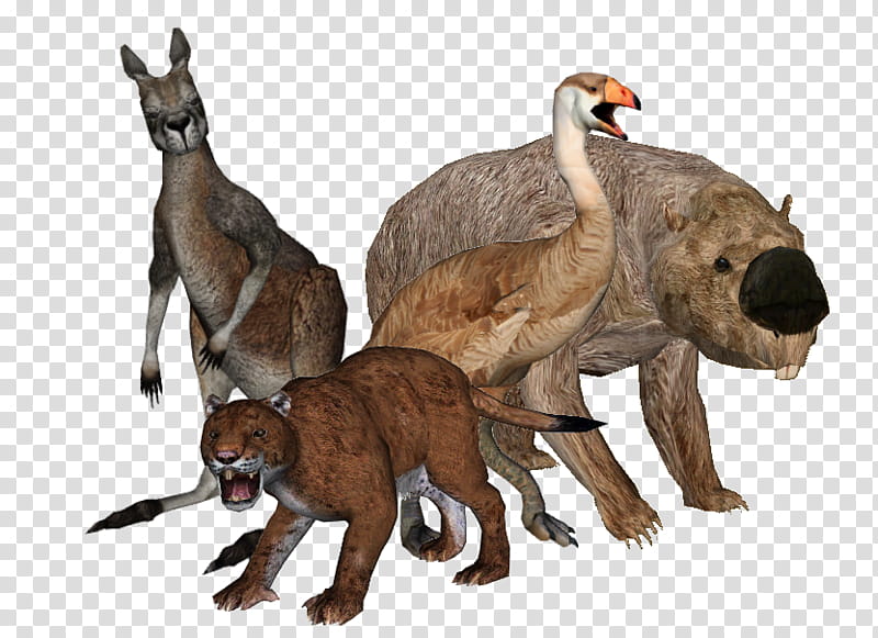 Monkey, Australia, Australian Megafauna, Fauna Of Australia, Procoptodon, Human, Prehistory Of Australia, EXTINCTION transparent background PNG clipart