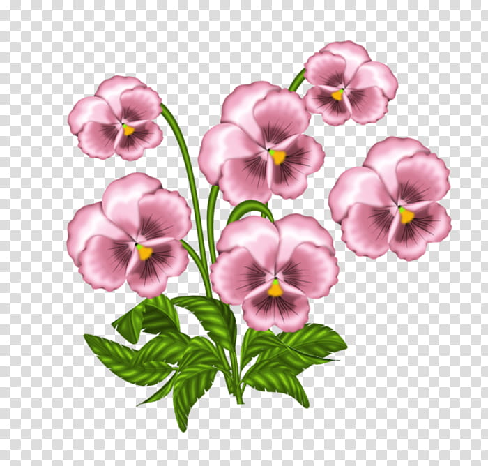 Floral Flower, African Violets, Pansy, Sweet Violet, Common Blue Violet, Viola Alba, Pink, Lilac transparent background PNG clipart