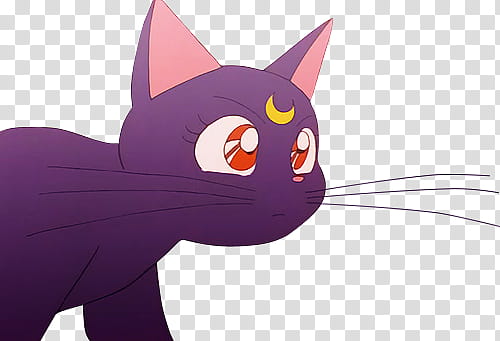 Luna Sailor Moon, purple cat character transparent background PNG clipart