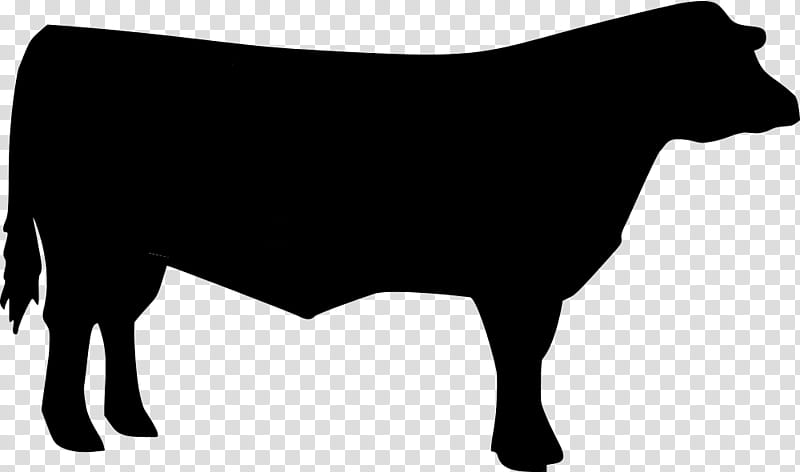 Family Silhouette, Cattle, 4h, Live, Animal Silhouettes, Beef Cattle, Animal Show, Live Show transparent background PNG clipart