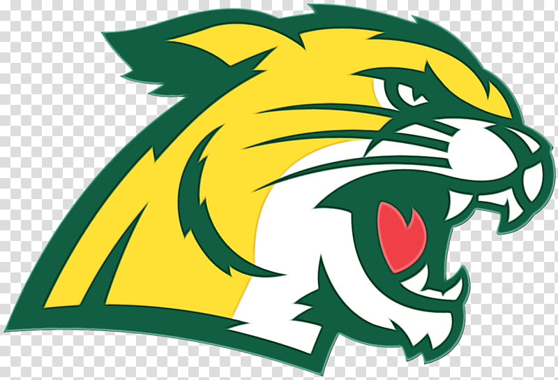 Northern Michigan University Northern Michigan Wildcats men's ice hockey Northern Michigan Wildcats women's basketball College, Watercolor, Paint, Wet Ink, Sports, Coach, Decal, Great Lakes Intercollegiate Athletic Conference transparent background PNG clipart